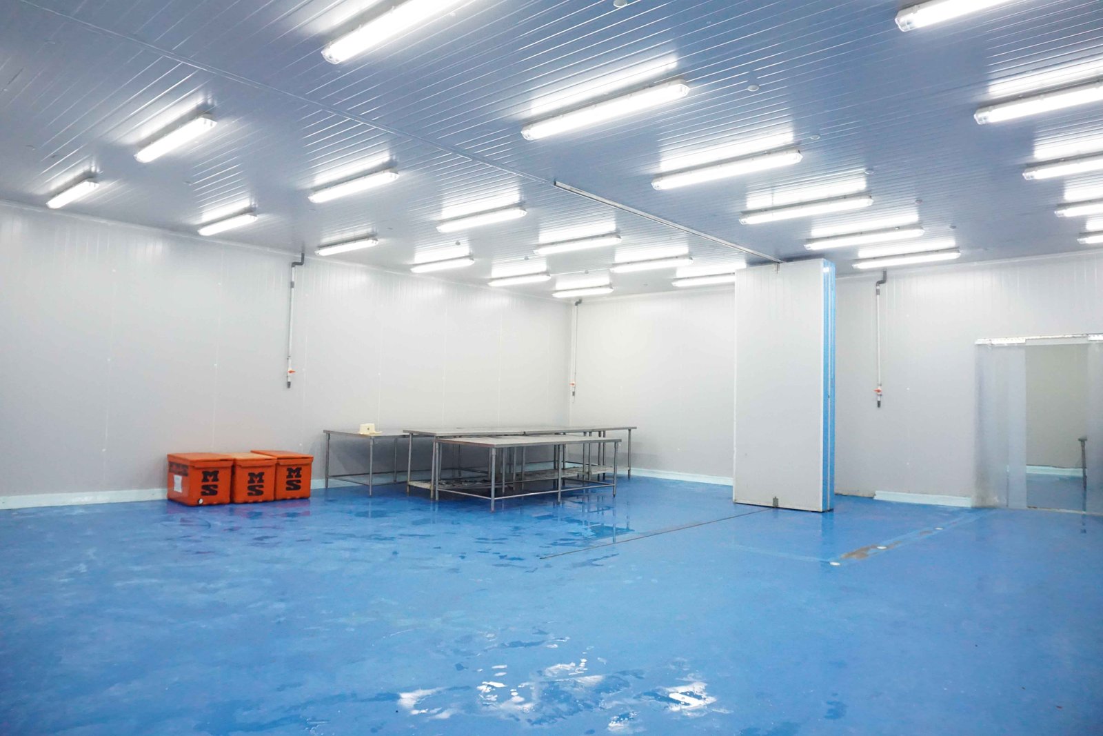 Area Proses Pengolahan Ikan